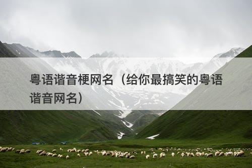 粤语谐音梗网名（给你最搞笑的粤语谐音网名）