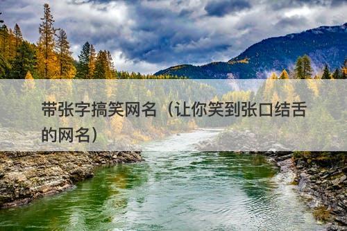 带张字搞笑网名（让你笑到张口结舌的网名）-图1