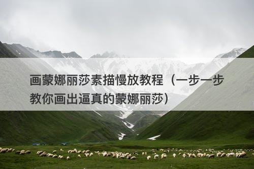 画蒙娜丽莎素描慢放教程（一步一步教你画出逼真的蒙娜丽莎）