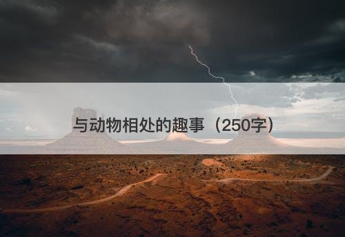 与动物相处的趣事（250字）
