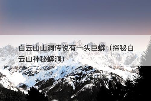 白云山山洞传说有一头巨蟒（探秘白云山神秘蟒洞）