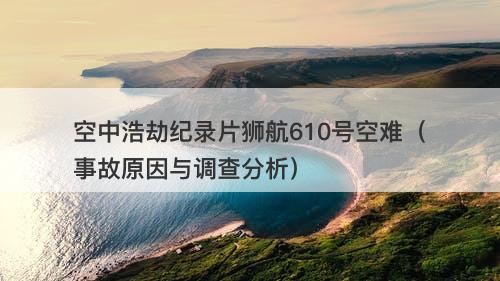 空中浩劫纪录片狮航610号空难（事故原因与调查分析）