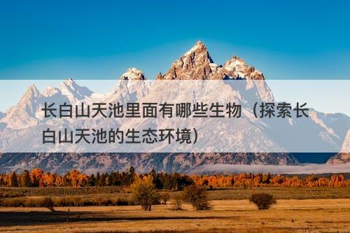 长白山天池里面有哪些生物（探索长白山天池的生态环境）