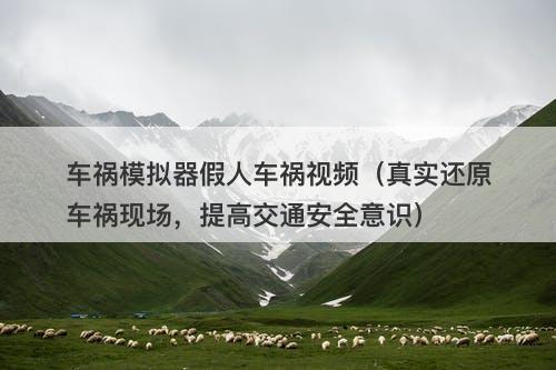 车祸模拟器假人车祸视频（真实还原车祸现场，提高交通安全意识）