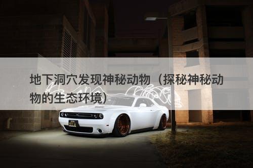 地下洞穴发现神秘动物（探秘神秘动物的生态环境）