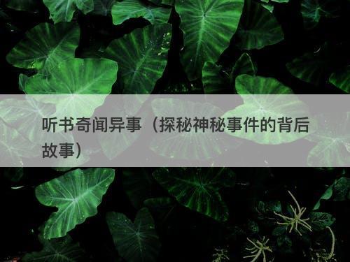 听书奇闻异事（探秘神秘事件的背后故事）