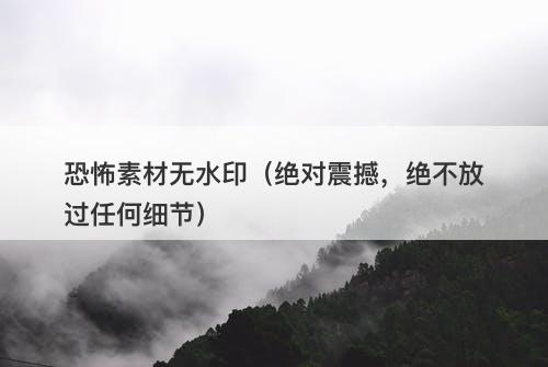 恐怖素材无水印（绝对震撼，绝不放过任何细节）