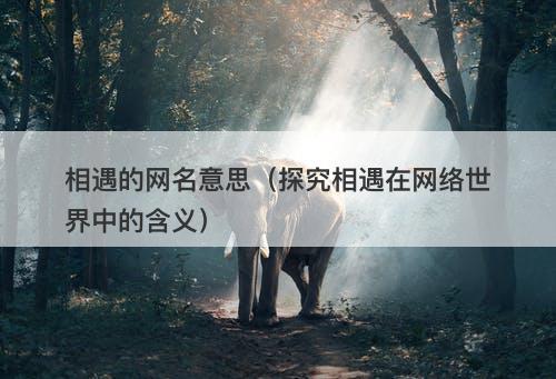 相遇的网名意思（探究相遇在网络世界中的含义）