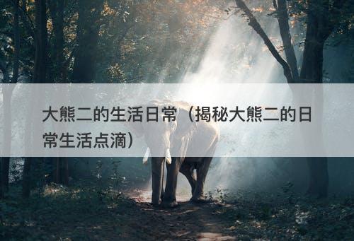 大熊二的生活日常（揭秘大熊二的日常生活点滴）