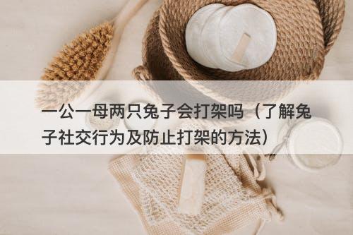一公一母两只兔子会打架吗（了解兔子社交行为及防止打架的方法）