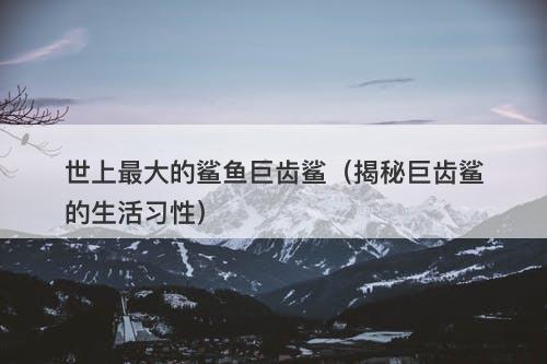 世上最大的鲨鱼巨齿鲨（揭秘巨齿鲨的生活习性）