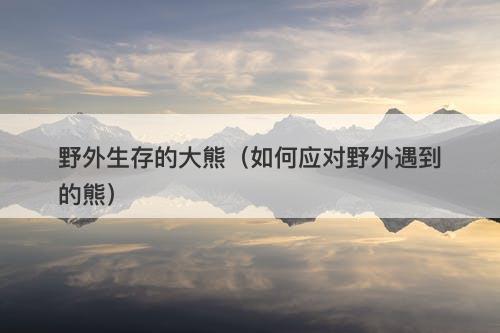 野外生存的大熊（如何应对野外遇到的熊）