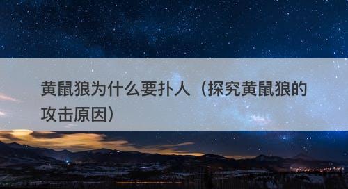 黄鼠狼为什么要扑人（探究黄鼠狼的攻击原因）