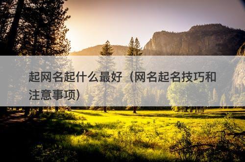 起网名起什么最好（网名起名技巧和注意事项）