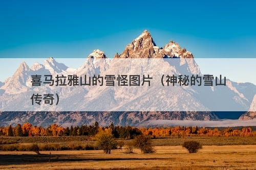 喜马拉雅山的雪怪图片（神秘的雪山传奇）