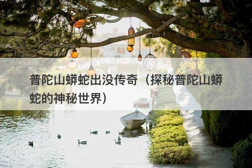 普陀山蟒蛇出没传奇（探秘普陀山蟒蛇的神秘世界）-图1