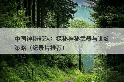 中国神秘部队：探秘神秘武器与训练策略（纪录片推荐）