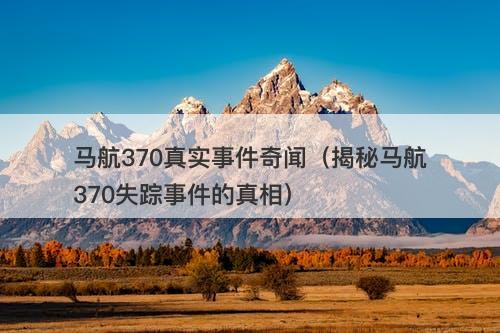 马航370真实事件奇闻（揭秘马航370失踪事件的真相）-图1