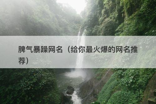 脾气暴躁网名（给你最火爆的网名推荐）-图1