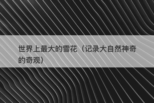 世界上最大的雪花（记录大自然神奇的奇观）-图1