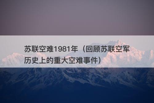 苏联空难1981年（回顾苏联空军历史上的重大空难事件）-图1