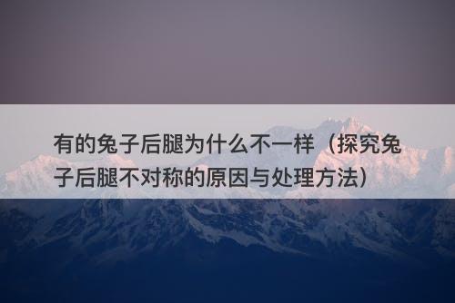 有的兔子后腿为什么不一样（探究兔子后腿不对称的原因与处理方法）-图1