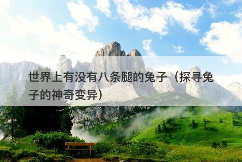 世界上有没有八条腿的兔子（探寻兔子的神奇变异）-图1