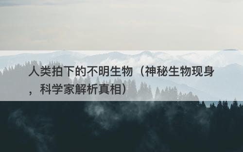 人类拍下的不明生物（神秘生物现身，科学家解析真相）-图1