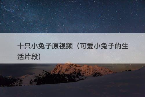 十只小兔子原视频(可爱小兔子的生活片段)-图1 十只小兔子原视频(可爱小兔子的生活片段)-图1