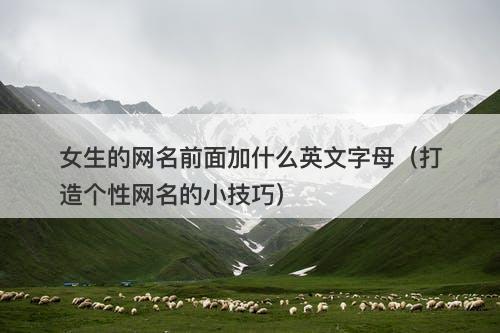 女生的网名前面加什么英文字母（打造个性网名的小技巧）