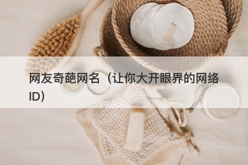 网友奇葩网名（让你大开眼界的网络ID）-图1