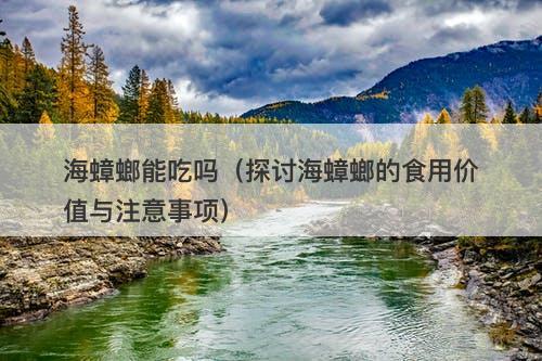 海蟑螂能吃吗（探讨海蟑螂的食用价值与注意事项）-图1