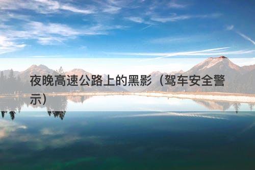 夜晚高速公路上的黑影（驾车安全警示）