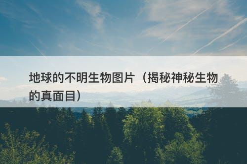 地球的不明生物图片（揭秘神秘生物的真面目）-图1