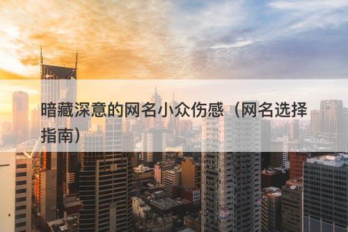 暗藏深意的网名小众伤感（网名选择指南）