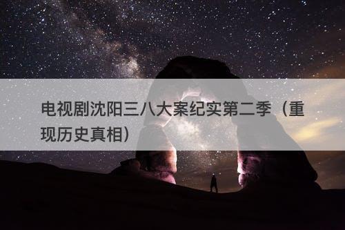 电视剧沈阳三八大案纪实第二季（重现历史真相）