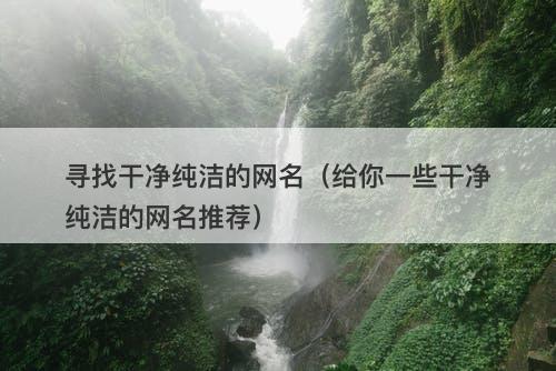寻找干净纯洁的网名（给你一些干净纯洁的网名推荐）