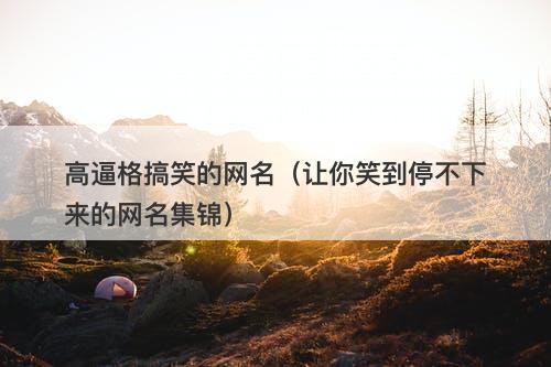 高逼格搞笑的网名（让你笑到停不下来的网名集锦）-图1