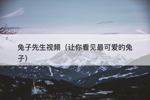 兔子先生视频（让你看见最可爱的兔子）-图1