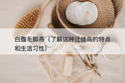 白腹毛脚燕（了解这种迁徙鸟的特点和生活习性）-图1