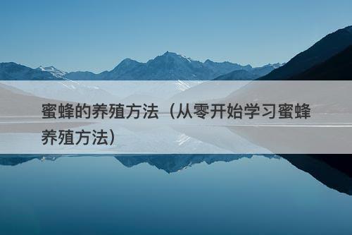 蜜蜂的养殖方法（从零开始学习蜜蜂养殖方法）