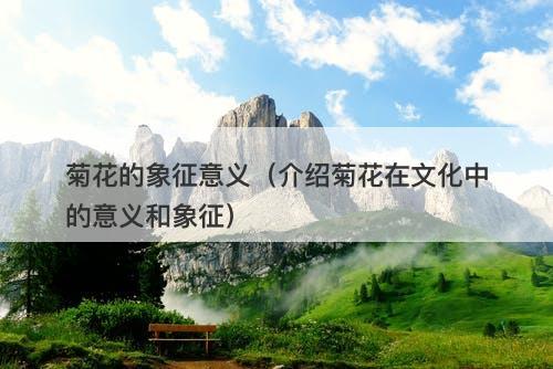 菊花的象征意义（介绍菊花在文化中的意义和象征）