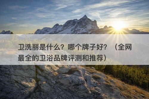卫洗丽是什么？哪个牌子好？（全网最全的卫浴品牌评测和推荐）