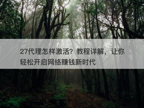 27代理怎样激活？教程详解，让你轻松开启网络赚钱新时代