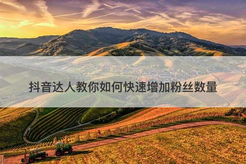 抖音达人教你如何快速增加粉丝数量