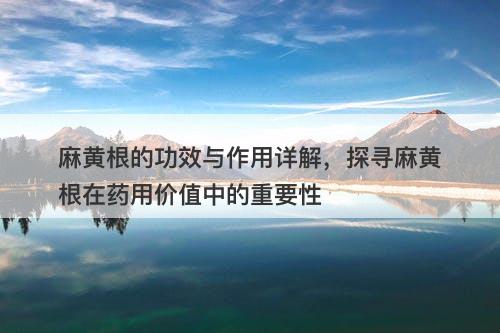 麻黄根的功效与作用详解，探寻麻黄根在药用价值中的重要性