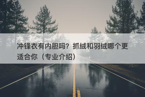 冲锋衣有内胆吗？抓绒和羽绒哪个更适合你（专业介绍）-图1