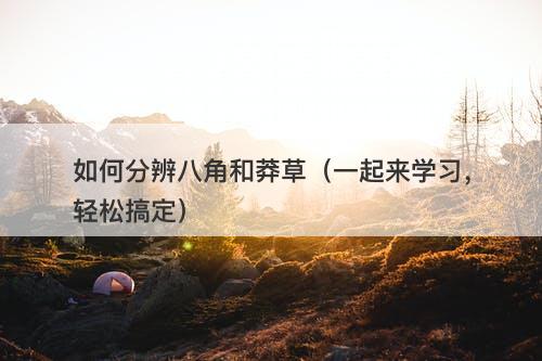 如何分辨八角和莽草（一起来学习，轻松搞定）