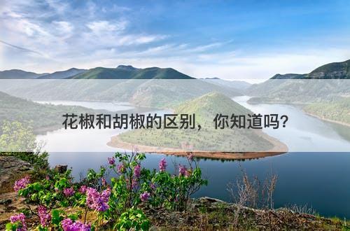 花椒和胡椒的区别，你知道吗？