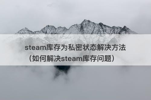 steam库存为私密状态解决方法（如何解决steam库存问题）
